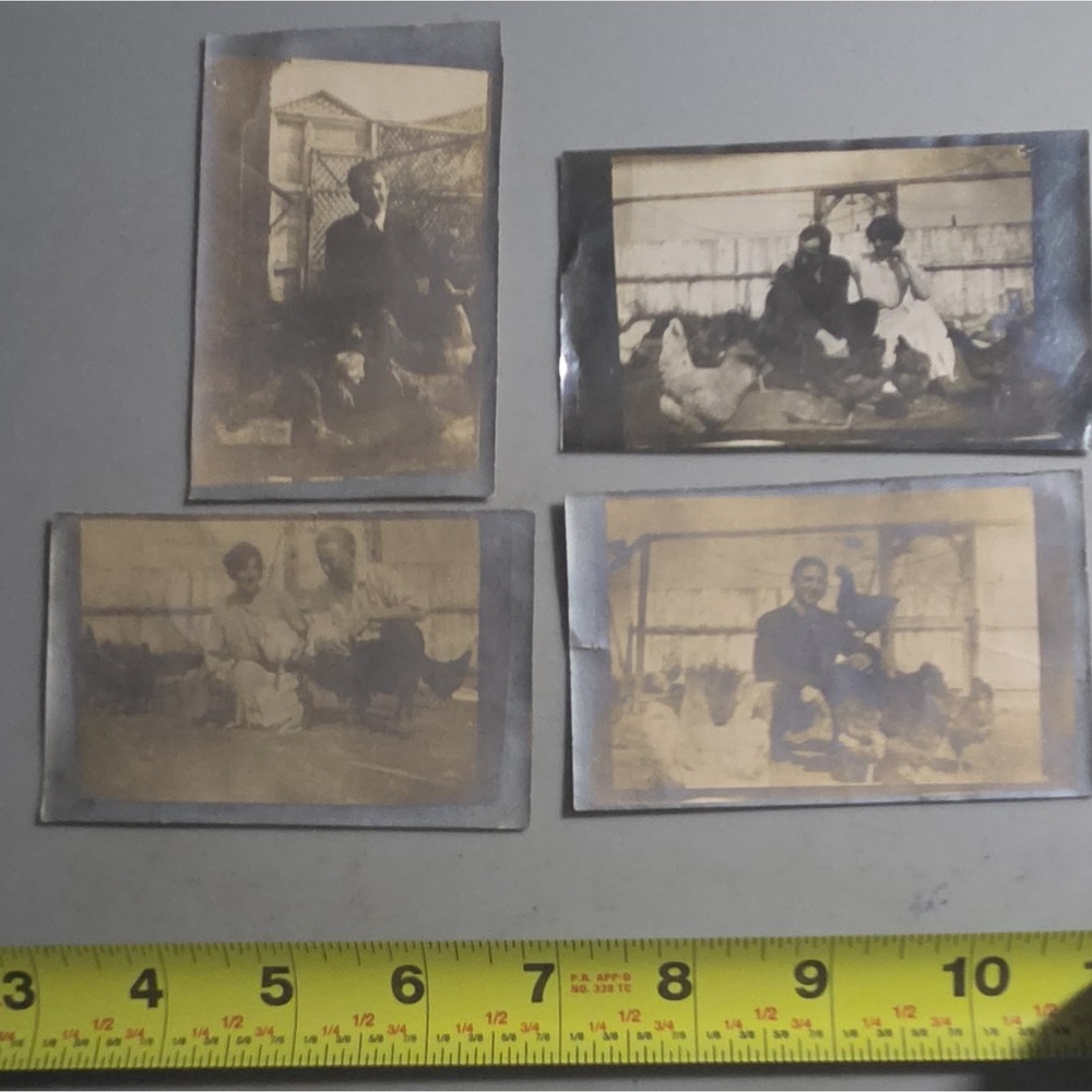 Man And Woman With Chickens Early 1900s Photograph Rural Farm Life Americana